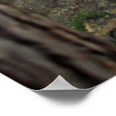 Minnehaha-Herfsten Poster (Hoek)