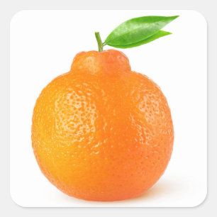 Minneola tangelo citrusvruchten vierkante sticker