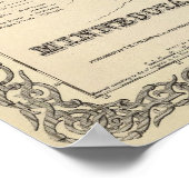 Minnesota 2 poster (Hoek)