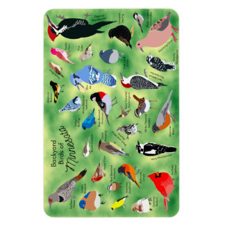 Minnesota Birds Flexible Photo Magnet Magneet