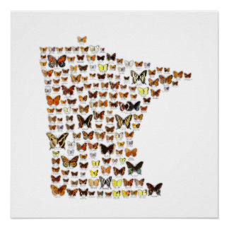 Minnesota Butterflies Perfect Poster