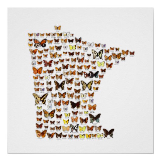 Minnesota Butterflies Perfect Poster (Voorkant)