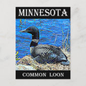 Minnesota Common Loon Briefkaart (Voorkant)