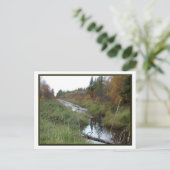 Minnesota Creek/Autumn Briefkaart (Staand voorkant)