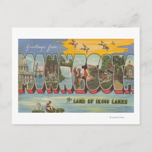 Minnesota (eenden) - Grote letterscènes Briefkaart
