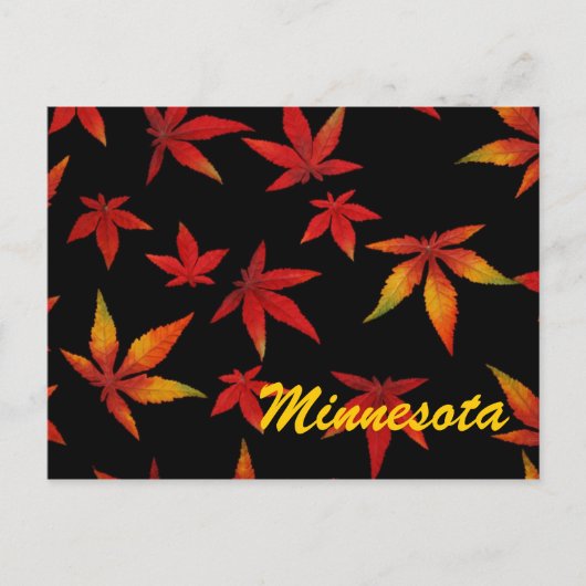 Minnesota Feuilles Automne Carte Postale (Devant)