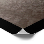 Minnesota House Reps Foto 1901 Poster (Hoek)