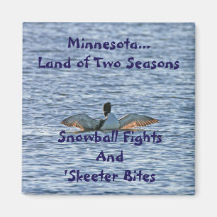 Minnesota Land van Twee Seizoenen Magneet