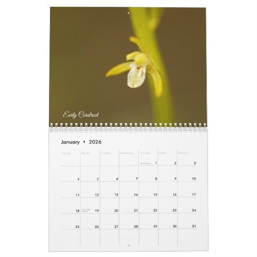 Minnesota Orchids kalender (Jan 2026)