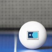 Minnesota Pingpongballen (Net)
