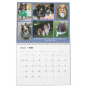 Minnesota Sheltie Calendar voor 2019 Kalender (Mar 2026)