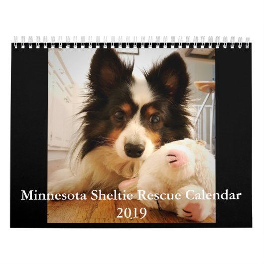 Minnesota Sheltie Calendar voor 2019 Kalender (Hoes)