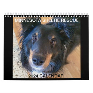 MINNESOTA SHELTIE REDDING KALENDER 2024