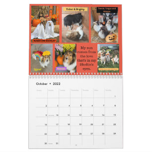 Minnesota Sheltie Rescue 2022-kalender Kalender