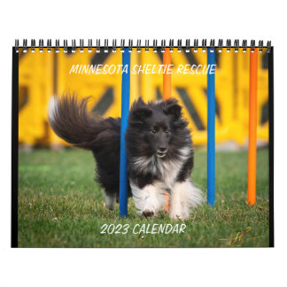 MINNESOTA SHELTIE RESCUE 2023 CALENDAR KALENDER