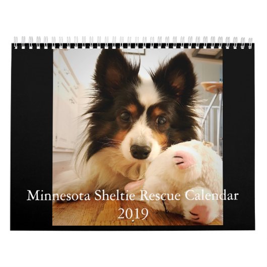 Minnesota Sheltie Rescue Calendar 2019 Kalender (Hoes)