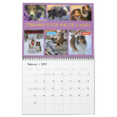 MINNESOTA SHELTIE SECOURT 2023 CALENDRIER (Feb 2027)