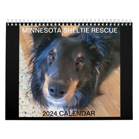 MINNESOTA SHELTIE SECOURT 2024 CALENDRIER (Protection)