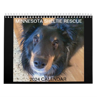 MINNESOTA SHELTIE SECOURT 2024 CALENDRIER