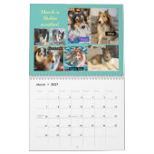MINNESOTA SHELTIE SECOURT 2024 CALENDRIER (Mar 2027)