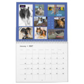 MINNESOTA SHELTIE SECOURT 2024 CALENDRIER (Jan 2027)