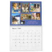MINNESOTA SHELTIE SECOURT 2024 CALENDRIER (Feb 2027)