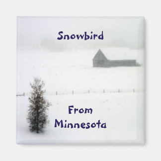 Minnesota sneeuwvogelmagneet magneet