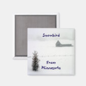 Minnesota Snowbird Magnet (Recto/Verso)