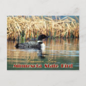 Minnesota State Bird - Common Loon Briefkaart (Voorkant)