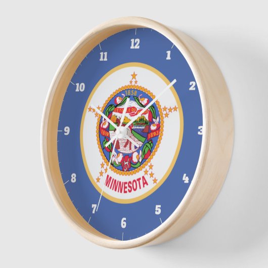 MINNESOTA STATE FLAG (Hoek)