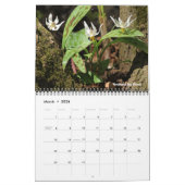 Minnesota State Parks 2026 Kalender (Mar 2026)