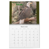 Minnesota Zoo Calendar Kalender (Mar 2026)