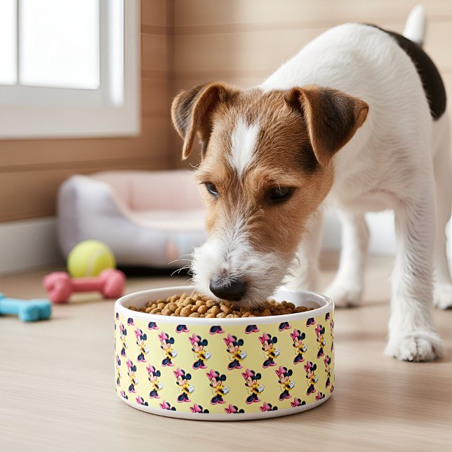 Minni Bowl Voerbakje (Creator heeft geüpload)