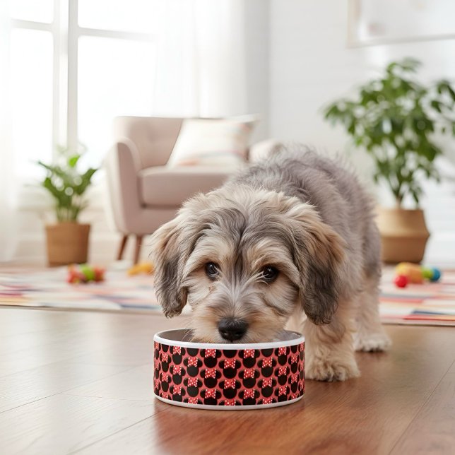 Minni Voerbakje (Creator heeft geüpload)