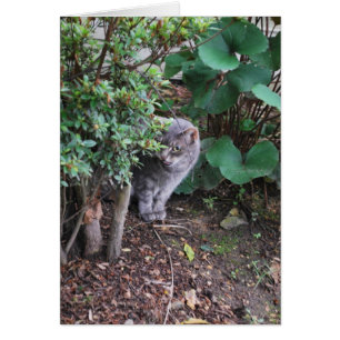 Minnie dans le jardin