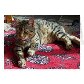 Minnie dans Sunshine2