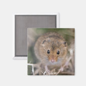 Minnie Magnet Magneet (Voorkant / Achterkant)
