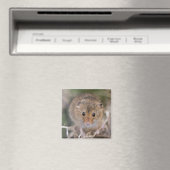 Minnie Magnet Magneet (Insitu (Vaatwasser))