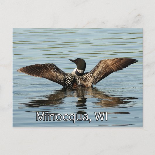 Minocqua, WI souvenir de carte postale (Devant)