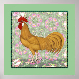 Minorca: ouderwetse rooster poster