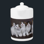 Minous dans une théière de porcelaine de rangée<br><div class="desc">Théière de porcelaine avec les chatons écossais adorables dans une rangée.</div>