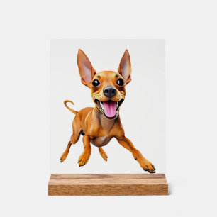 Minpin dwerg pinscher min pin moeder hond vader pu acryl bord