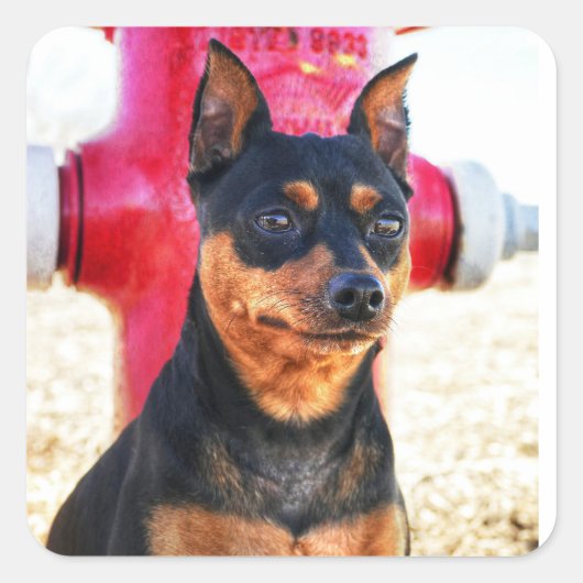 MinPinOne Vierkante Sticker (Voorkant)