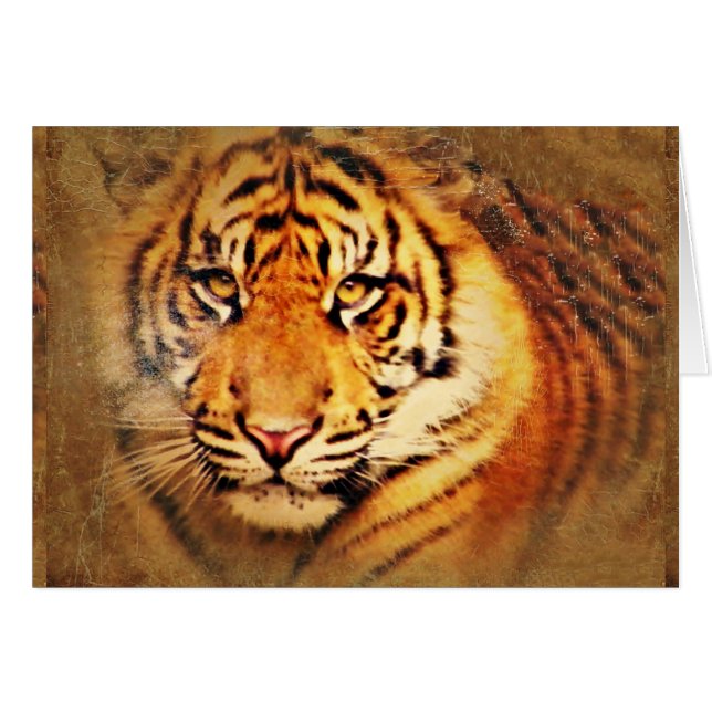 M'inspirer_ (Devant Horizontal)