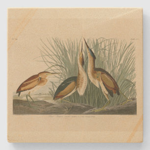 Minst Bittern uit Audubon's Birds of America Stenen Onderzetter