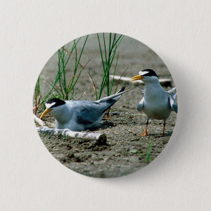 Minst Termijnen Ronde Button 5,7 Cm