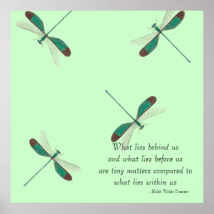 Mint Dragonflies wat achter ons ligt Poster