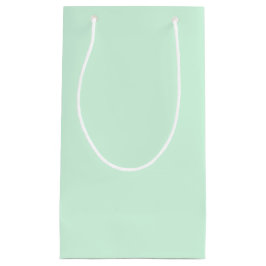 Mint Gift Bag Klein Cadeauzakje