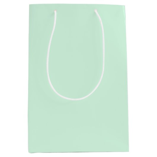 Mint Gift Bag Medium Cadeauzakje (Voorkant)