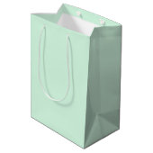 Mint Gift Bag Medium Cadeauzakje (Achterkant Gekanteld)